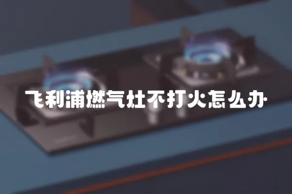 飛利浦燃氣灶不打火怎么辦