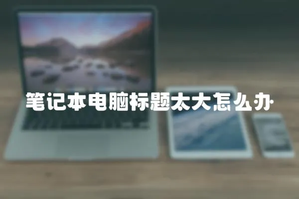 筆記本電腦標題太大怎么辦