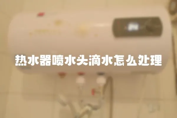 熱水器噴水頭滴水怎么處理
