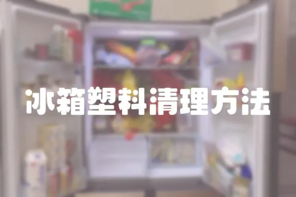 冰箱塑料清理方法