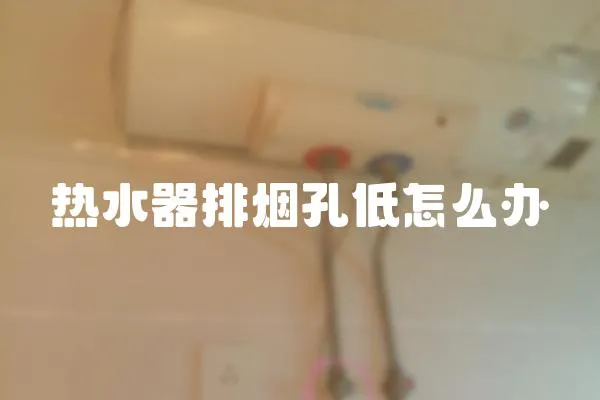 熱水器排煙孔低怎么辦