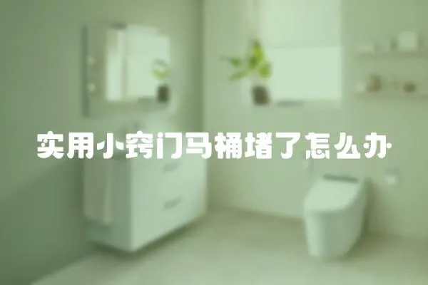 實用小竅門馬桶堵了怎么辦