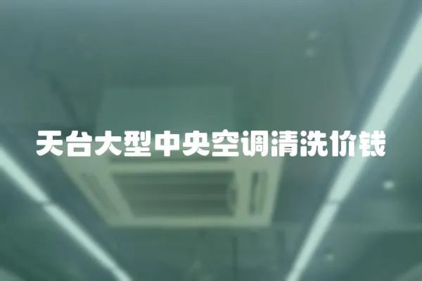 天臺大型中央空調(diào)清洗價錢