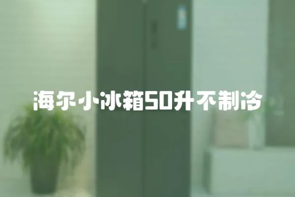 海爾小冰箱50升不制冷