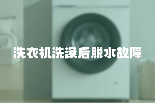 洗衣機洗滌后脫水故障