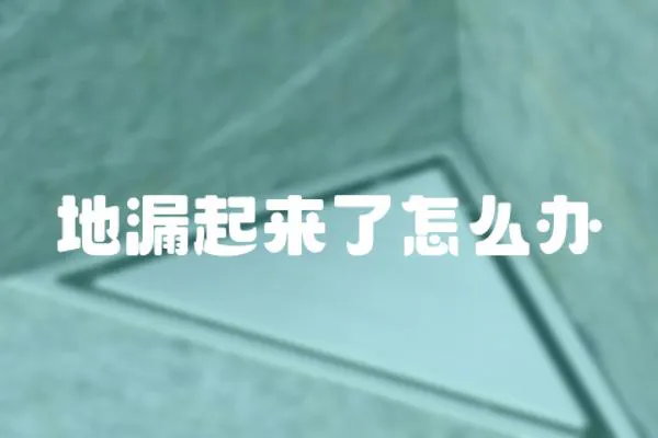 地漏起來了怎么辦