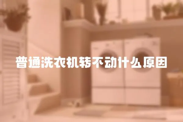 普通洗衣機(jī)轉(zhuǎn)不動(dòng)什么原因