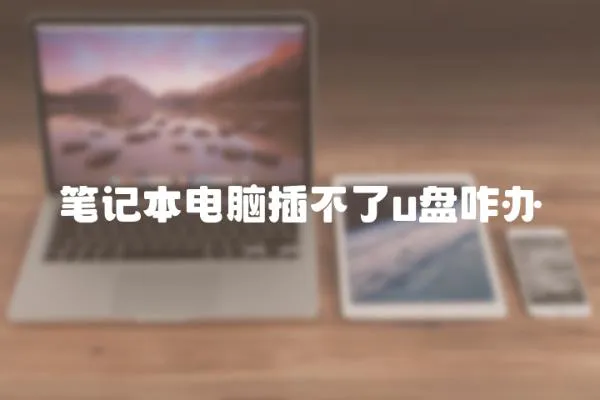 筆記本電腦插不了u盤咋辦
