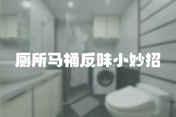 廁所馬桶反味小妙招