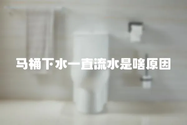 馬桶下水一直流水是啥原因