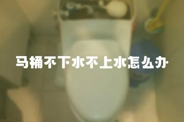 馬桶不下水不上水怎么辦