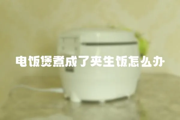 電飯煲煮成了夾生飯?jiān)趺崔k