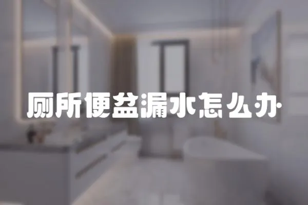 廁所便盆漏水怎么辦