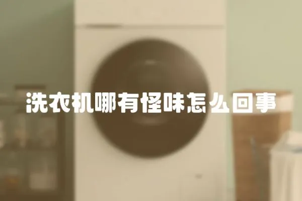 洗衣機(jī)哪有怪味怎么回事