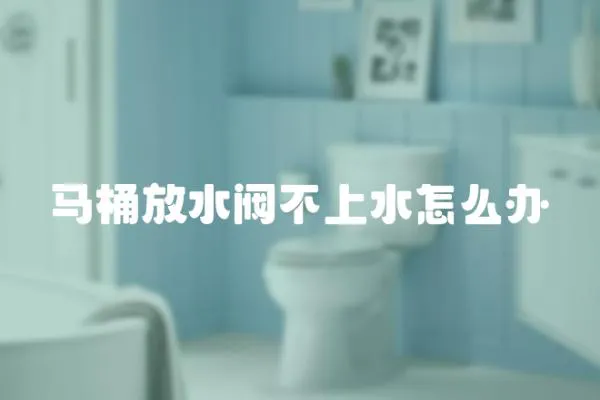 馬桶放水閥不上水怎么辦