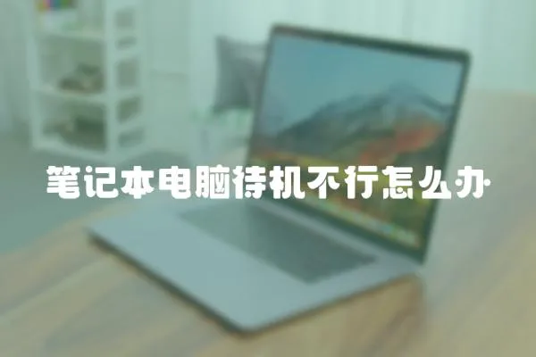 筆記本電腦待機不行怎么辦