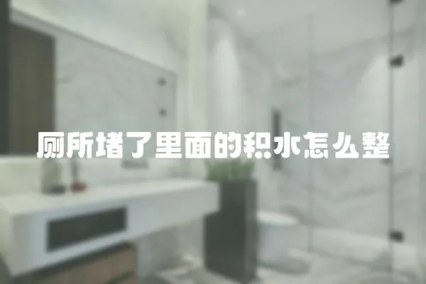 廁所堵了里面的積水怎么整