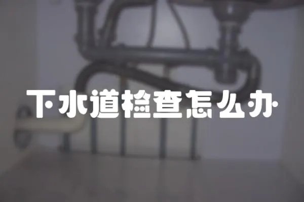 下水道檢查怎么辦