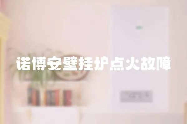 諾博安壁掛爐點火故障