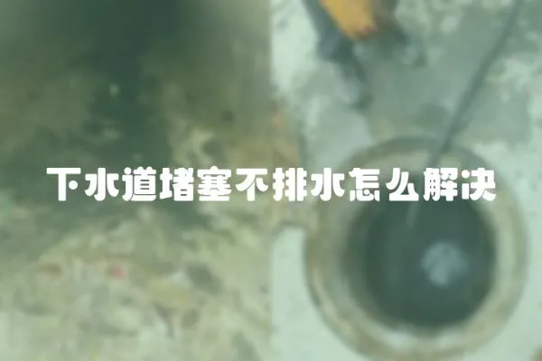 下水道堵塞不排水怎么解決