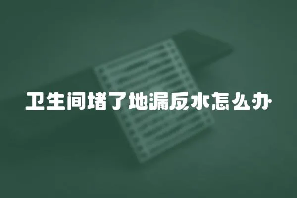 衛(wèi)生間堵了地漏反水怎么辦