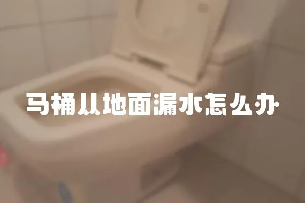 馬桶從地面漏水怎么辦