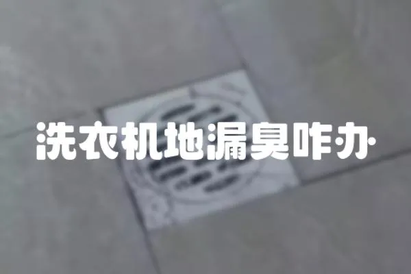 洗衣機地漏臭咋辦