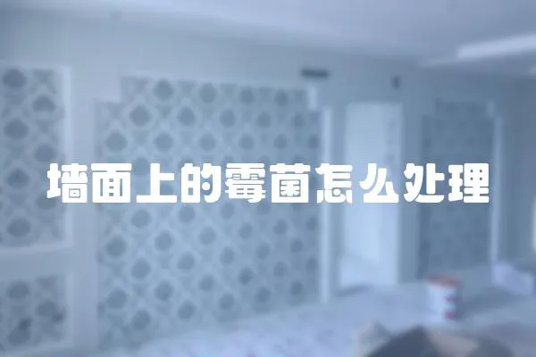 墻面上的霉菌怎么處理