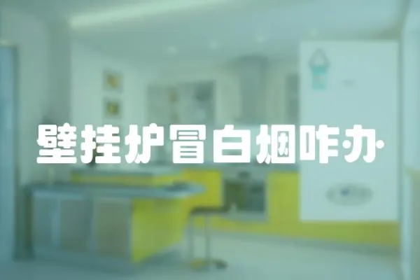 壁掛爐冒白煙咋辦