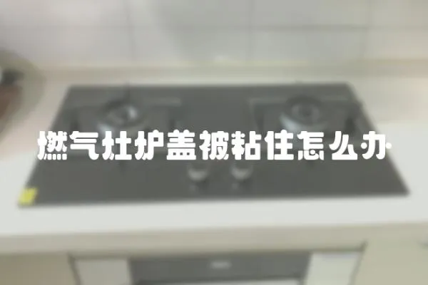 燃?xì)庠顮t蓋被粘住怎么辦