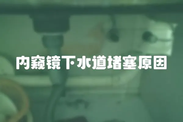 內窺鏡下水道堵塞原因