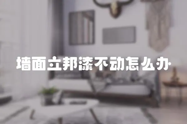 墻面立邦漆不動(dòng)怎么辦