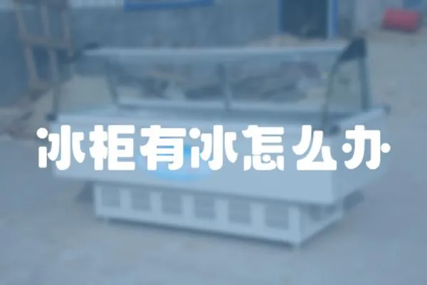 冰柜有冰怎么辦