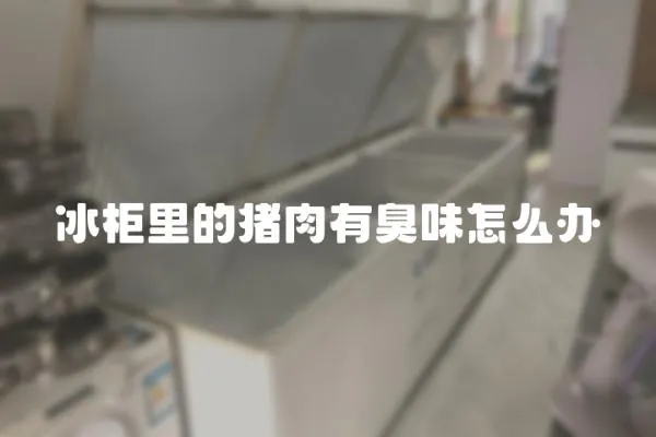 冰柜里的豬肉有臭味怎么辦