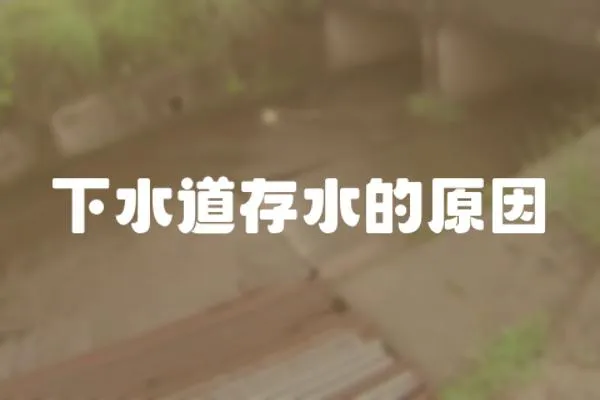 下水道存水的原因
