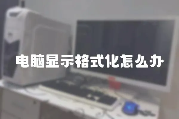 電腦顯示格式化怎么辦