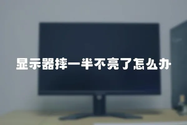 顯示器摔一半不亮了怎么辦