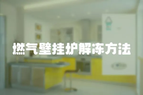 燃氣壁掛爐解凍方法