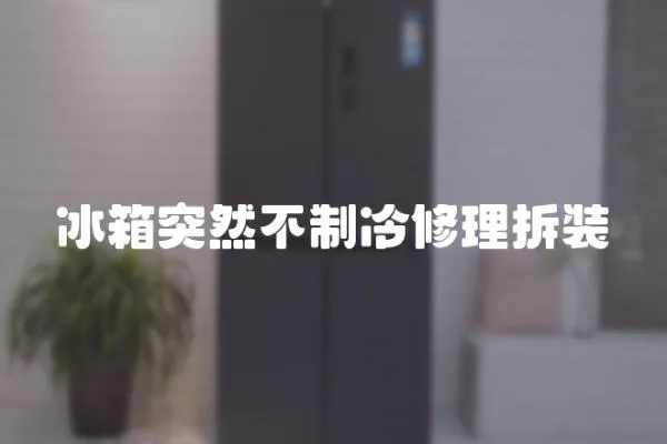 冰箱突然不制冷修理拆裝