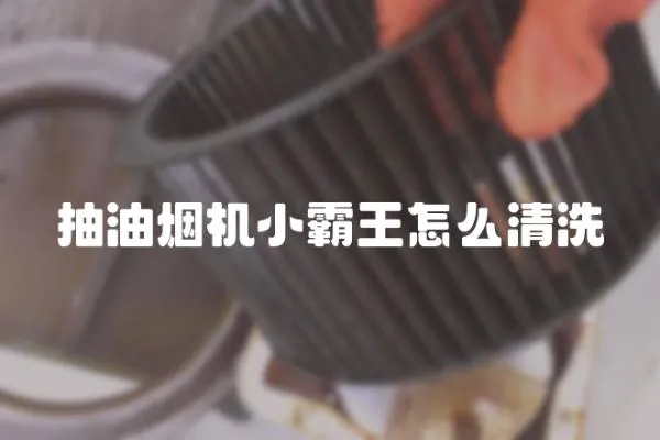 抽油煙機小霸王怎么清洗