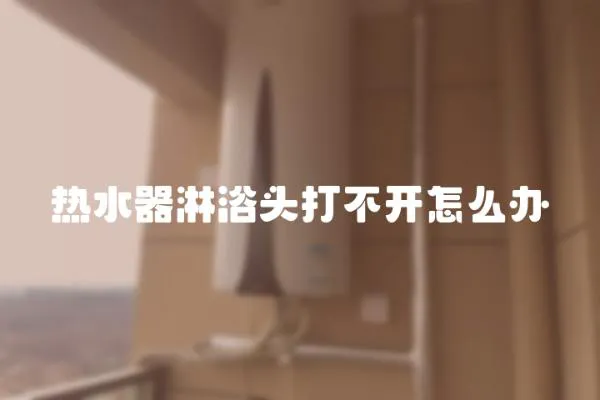 熱水器淋浴頭打不開怎么辦