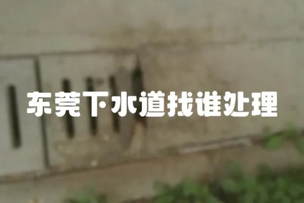 東莞下水道找誰處理