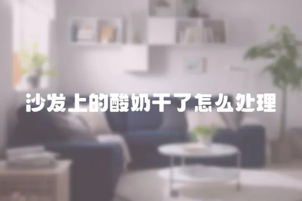 沙發(fā)上的酸奶干了怎么處理