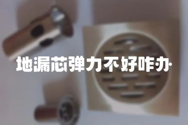 地漏芯彈力不好咋辦