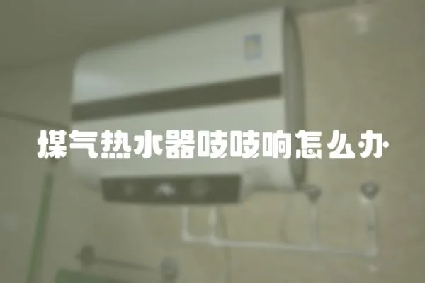 煤氣熱水器吱吱響怎么辦