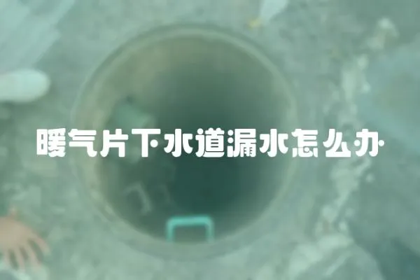 暖氣片下水道漏水怎么辦