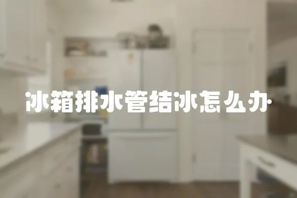冰箱排水管結(jié)冰怎么辦