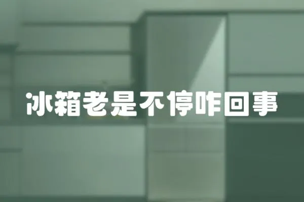 冰箱老是不停咋回事