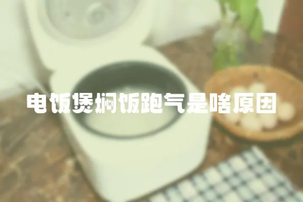 電飯煲燜飯跑氣是啥原因