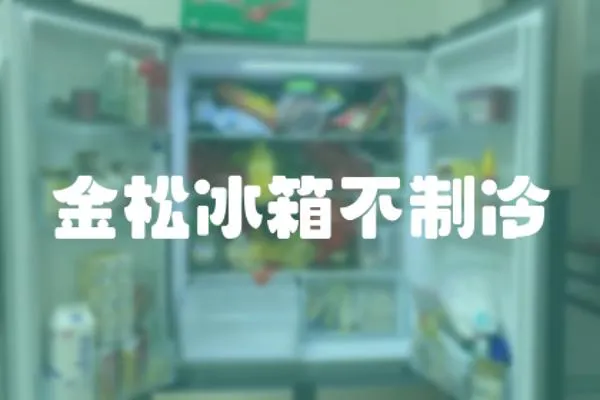 金松冰箱不制冷